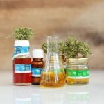 Becoming a Full Spectrum CBD Oil Wholesale Dealer CBD Oil Wholesale Dealer