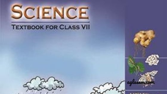 Class 7 Science Exam