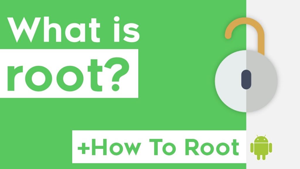 What is Root